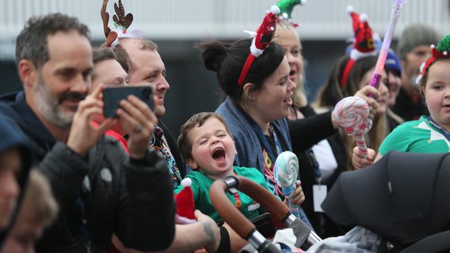 Waterfront Christmas tree lighting. Picture: Mike Dugdale