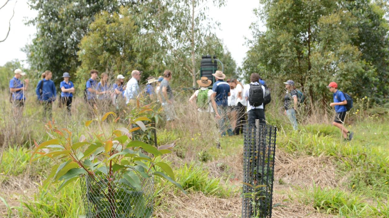 Mullumbimby High School students have launched a new project, Trees for Koalas - Connecting Communities, to increase the number of koala food trees on private properties within the Byron Shire. The group toured a Binna Burra property on Tuesday, October 27, before planting 400 new koala food trees to build upon existing plantation works. Picture: Liana Boss