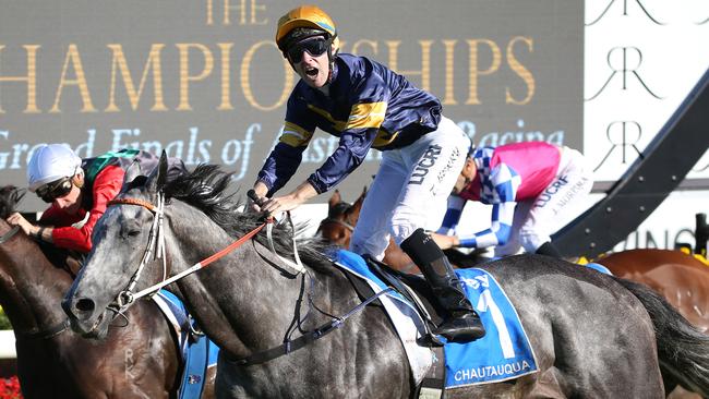 Chautauqua has excellent form at Flemington. Picture: AAP