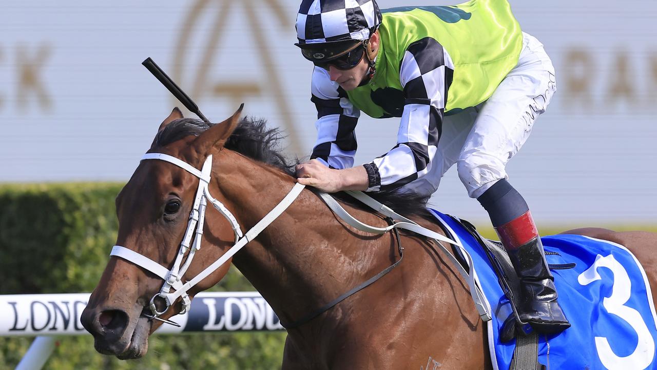 Zougotcha returns in the Light Fingers Stakes. Picture: Mark Evans-Getty Images