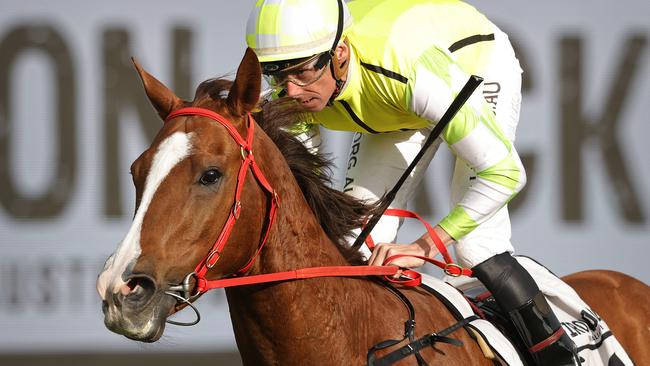 Nash Rawiller rides Eduardo to victory in the Iron Jack Missile Stakes. Picture: Getty