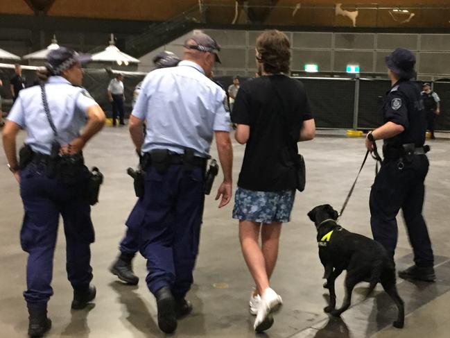 Police dogs intercepted revellers, who were taken away to be searched for drugs. Picture: Derrick Krusche 