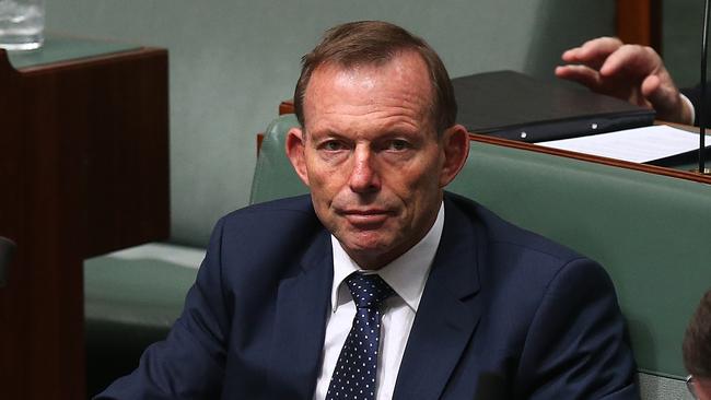 Tony Abbott in Question Time in the House of Representatives. Picture: Kym Smith.