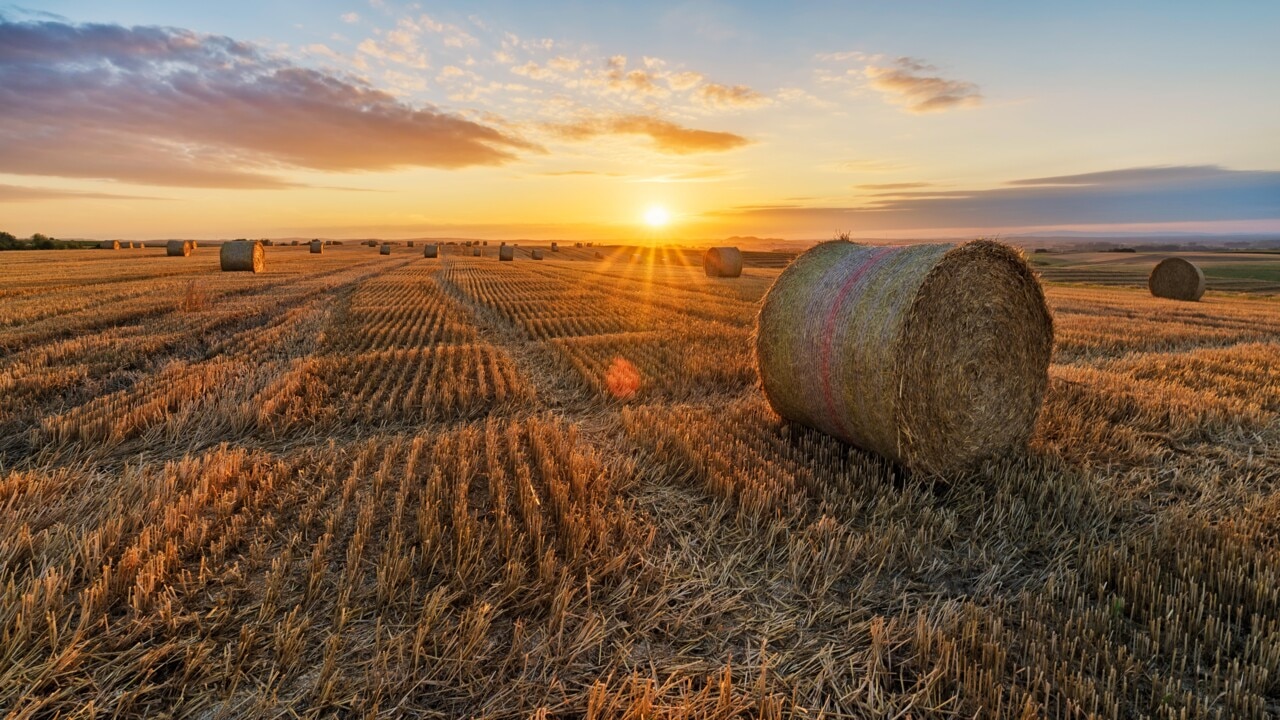 Australian farmers ‘should not be paying solely’ to manage biosecurity risks