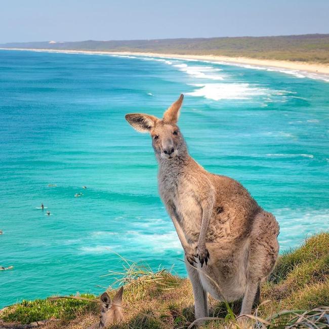 Queensland: Shutting out tourists one day, begging for money the next. Picture: Instagram