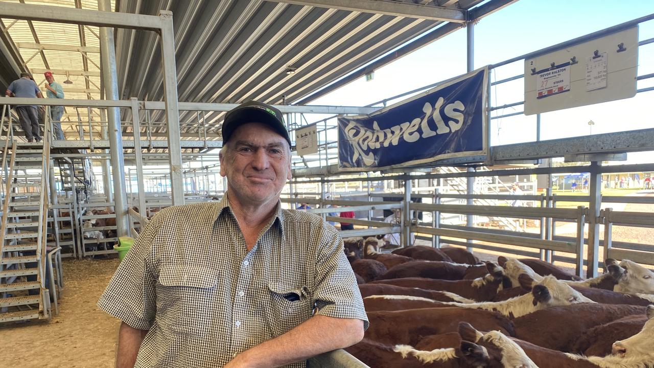 Weaner calf sales 2023: Wodonga, Wangaratta, Mortlake, Yea | The Weekly ...