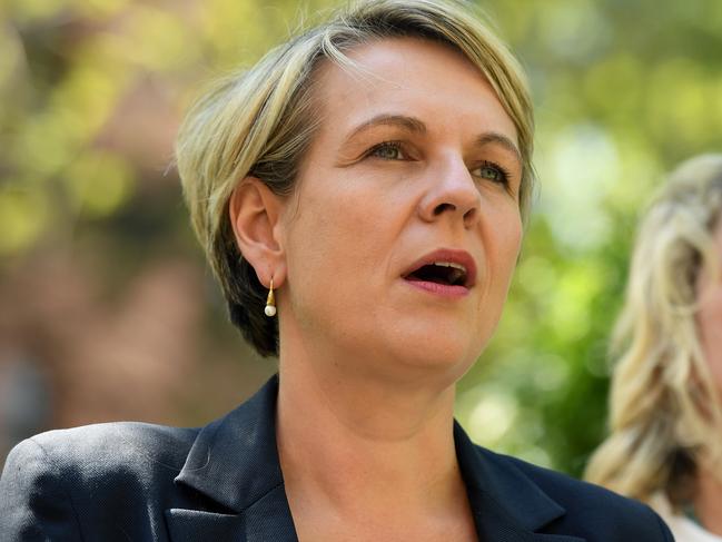 Acting Leader of the Opposition Tanya Plibersek. Picture: AAP Image/Joel Carrett