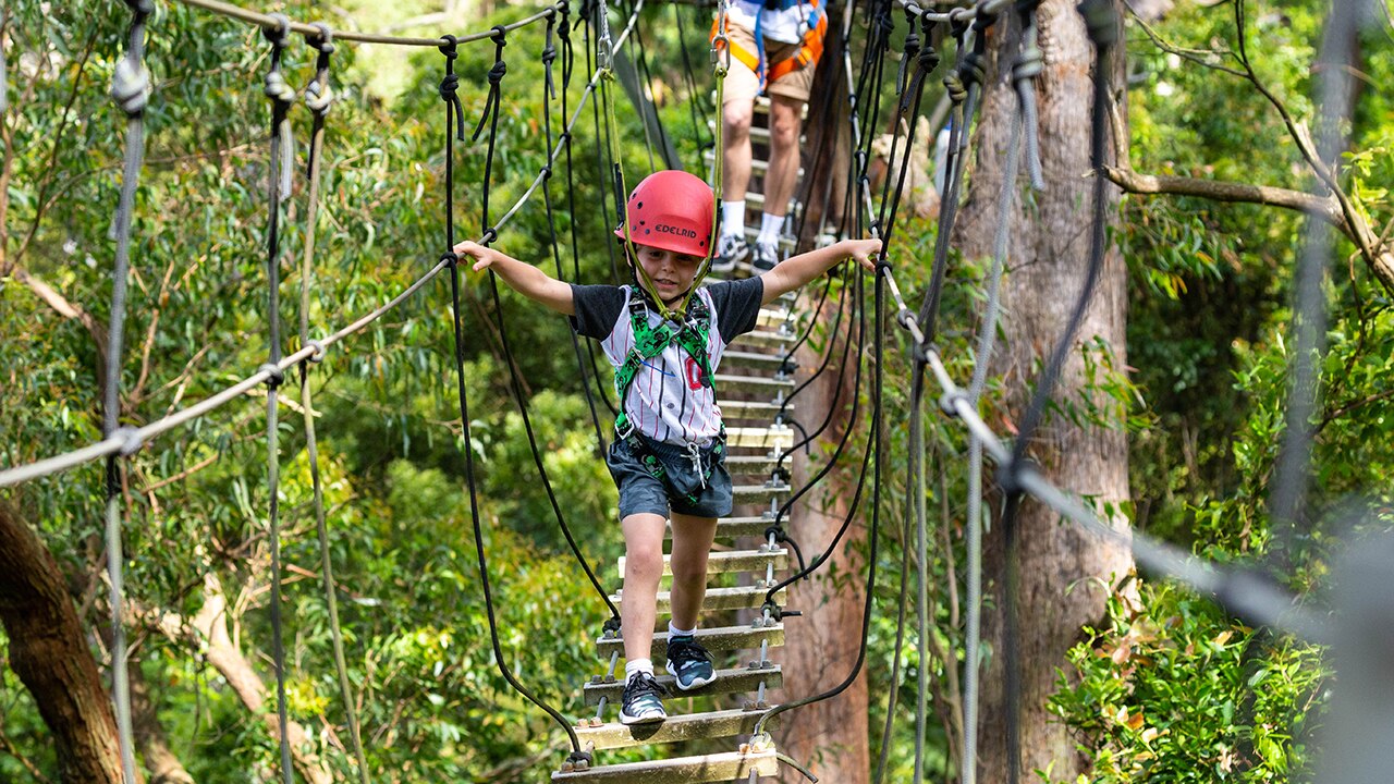 Illawarra Fly Treetop Adventure. Picture: Experience Oz