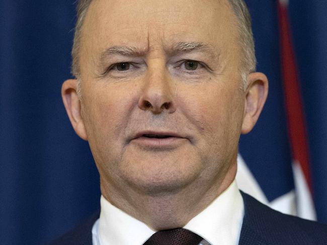 CANBERRA, AUSTRALIA -  NewsWire Photos JANUARY , 28, 2021The Leader of the Australian Labor Party, Anthony Albanese during  a press conference at Parliament House in Canberra. Picture:NCA Newswire/Gary Ramage
