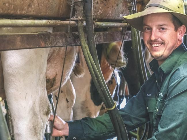 Hayden Russell, of The Cheeky Cow Dairy, Busselton, WA, milking cows. Picture: Kira Price