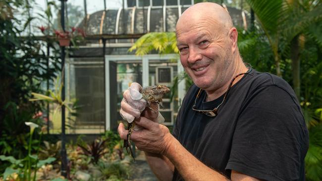 frog frogarium coffsPeter Johnson withGiant Barred Frog. 19 NOV 2019