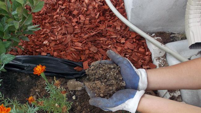 Mulch is a must for healthy soil;