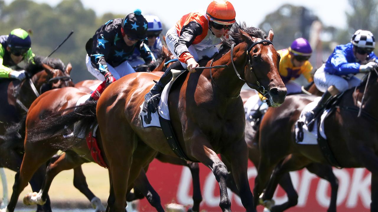 Galactus will be Simon Zahra's first solo runner in more than a decade when the gelding resumes at Geelong on Wednesday. Picture : Racing Photos via Getty Images.