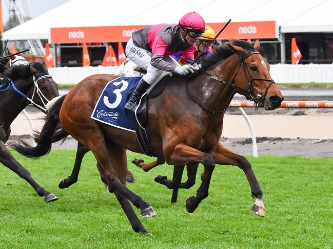 Sirileo Miss ridden by Ben Melham wins the Catanach's Jewellers Ladies' Day Vase at Caulfield Racecourse on October 12, 2022 in Caulfield, Australia. (Photo by Reg Ryan/Racing Photos via Getty Images)