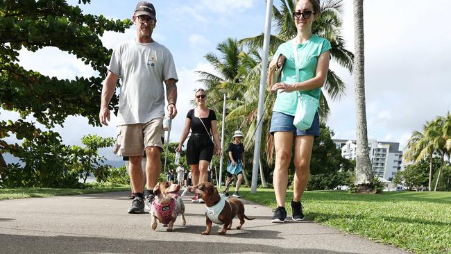Luke Hickey and Tatiana Hickey walk Milly and Coco at the RSPCA's Million Paws Walk fundraiser, held along the Cairns Esplanade. Picture: Brendan Radke