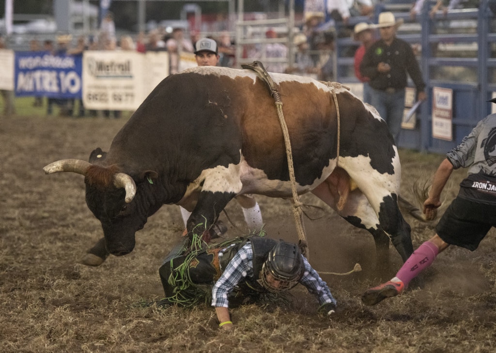 Matthew Goodwin tries to hang on in the open bullride at the Lawrence Twilight Rodeo. Picture: Adam Hourigan