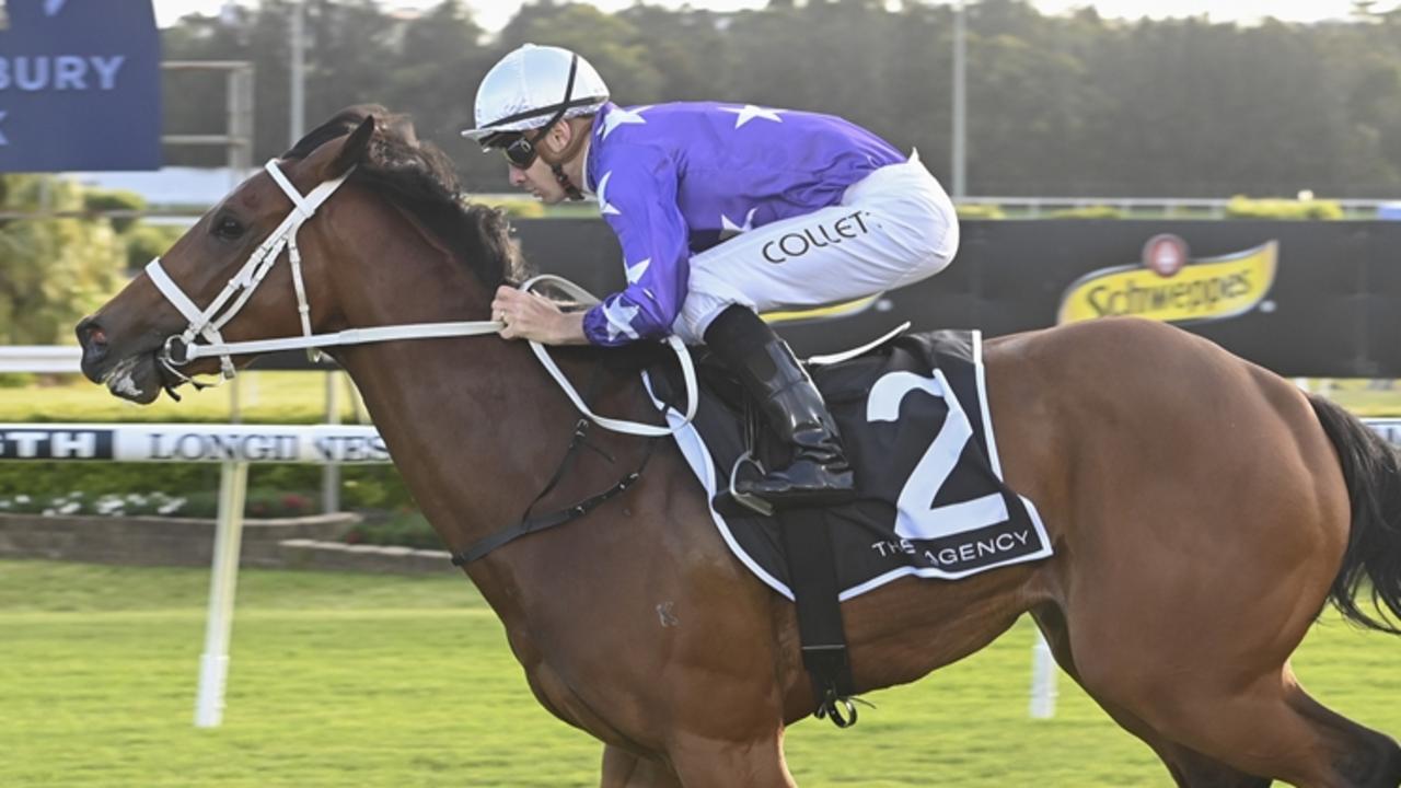 Demiana can start her spring campaign on a winning note at Warwick Farm on Wednesday. Picture: Bradley Photos