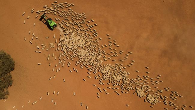 Murray Darling farmers must now suck up a lecture by Bruce Pascoe and Tim Flannery. Picture: Getty Images