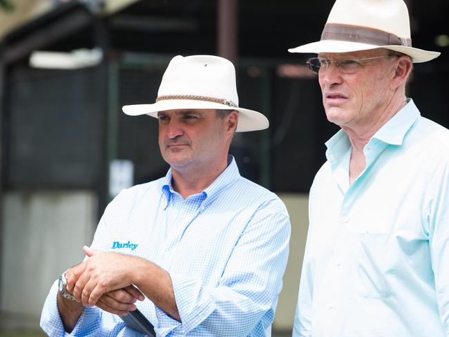 John Gosden (R) and Vin Cox ahead of the Magic Millions sales in the Gold Coast in 2019. David Goudie/The Australian