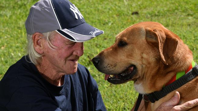 Gold Coast man takes on Tweed Council over his dog on death row