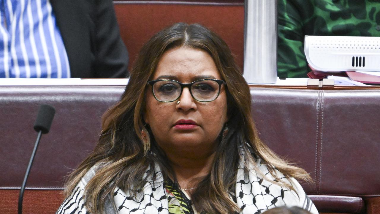 Greens senator Mehreen Faruqi has been an outspoken critic of Australia’s policy on the Gaza conflict. Picture: NewsWire / Martin Ollman