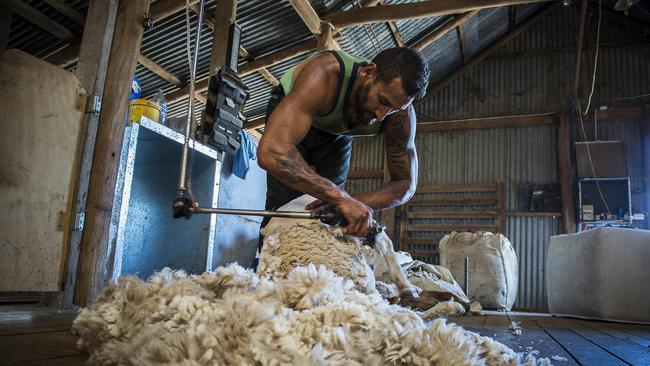 In the shed: Stacey Te Huia is aiming to break the record of shearing 513 sheep in nine hours. Picture: Chris McKeen