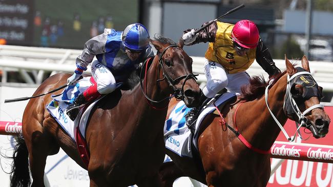 Jockeys are restricted by how many times they are allowed to use the whip in a race. Picture: Micheal Klein