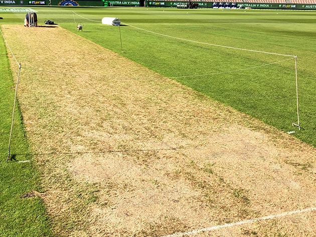 The MCG pitch this morning in photographs posted to Twitter by Cricket Australia and Fox Sports' Tom Morris.