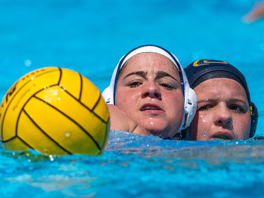 Water polo Water Polo Live Stream The Cairns Post