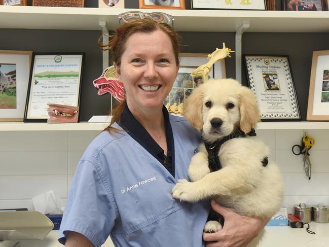 Dr Anne Fawcett is a veterinarian in inner Sydney.