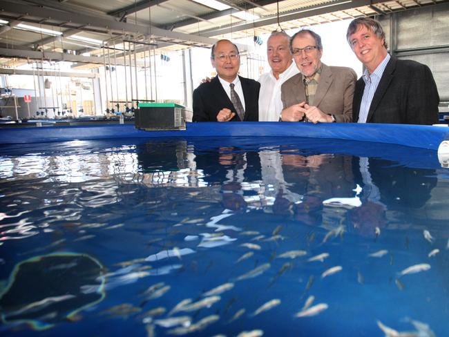 International aquaculture scientists (l-r) Professor Kenji Takii, of Kinki University, Japan, Clean Seas Tuna's Hagen Stehr, Dusseldorf University professor Chris Bridges of Germany and Development Institute's Steven Clarke from SARDI at SARDI's aquatic sciences centre at West Beach.