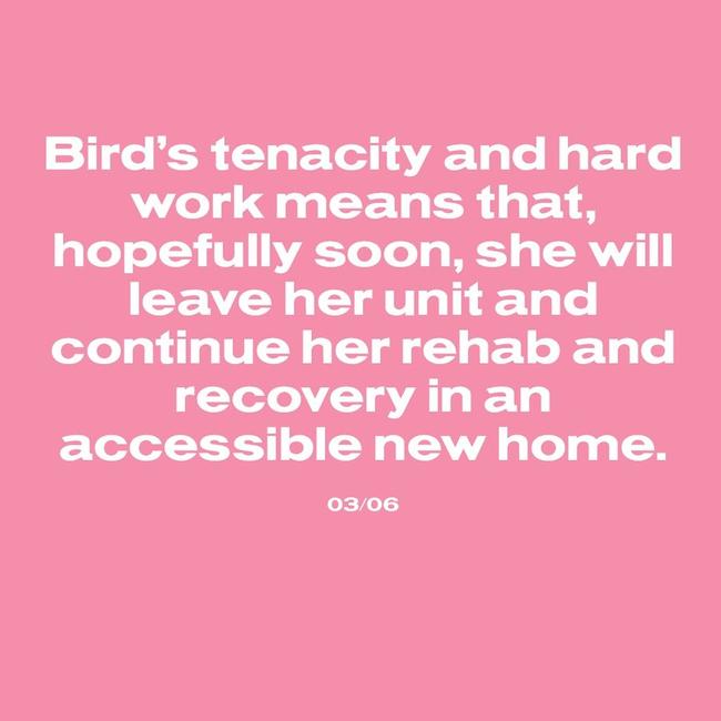 Bird remains in a rehab unit and will soon live in an accessible new home.