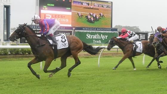 Gardenzio (pink sleeves) pleased trainer Kristen Buchanan with his race manners when fourth behind Cape Byron at Newcastle last start. Picture: Bradley Photos