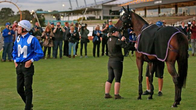 Jockey Hugh Bowman leaves Winx in the mounting yard after trackwork at Rosehill yesterday. Picture: Toby Zerna