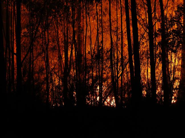 Bushfires swept through the region in 2019-20. Picture: Getty