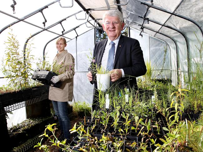 Northern Beaches Council administrator Dick Persson. Picture: Troy Snook