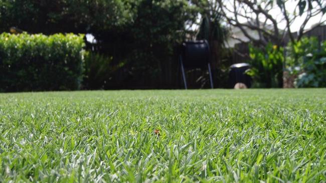 So green, so luscious, so Lawn Porn.