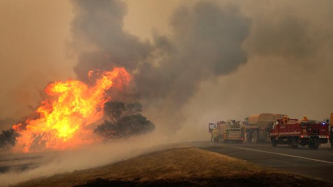 Firefighters desperately try to stop the Bunyip state forest bushfire crossing the Princes Freeway. Picture: Stuart McEvoy/The Australian