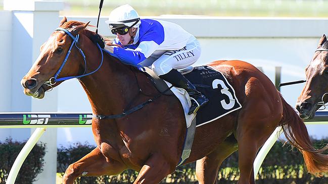 Spurcraft has garnered a good following with punters. Picture: AAP