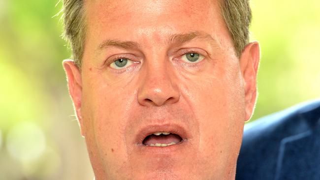 Opposition Leader Tim Nicholls has called Premier Annastacia Palaszczuk to concede.