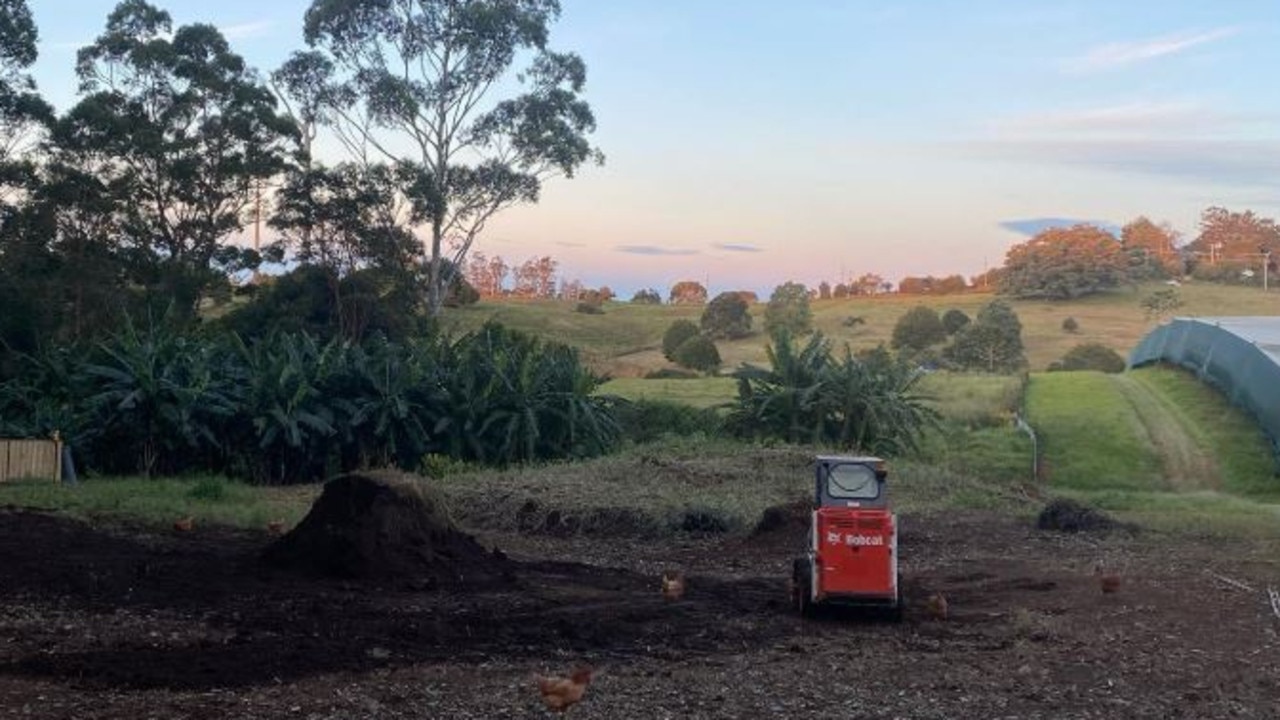 Earthcare Urban Farming's farm at Mount Tamborine. Picture: Instagram/earthcareurbanfarming