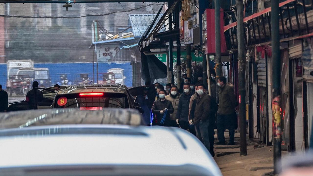 Cars transporting members of the World Health Organisation team. Picture: AFP