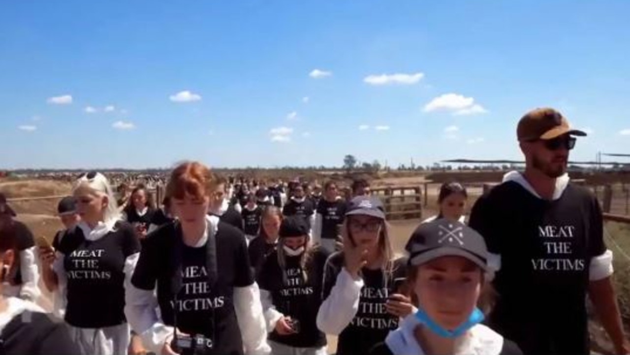 Vegan activists march onto the Lemontree feedlot and dairy at Millmerran in Queensland. Picture: Channel 7