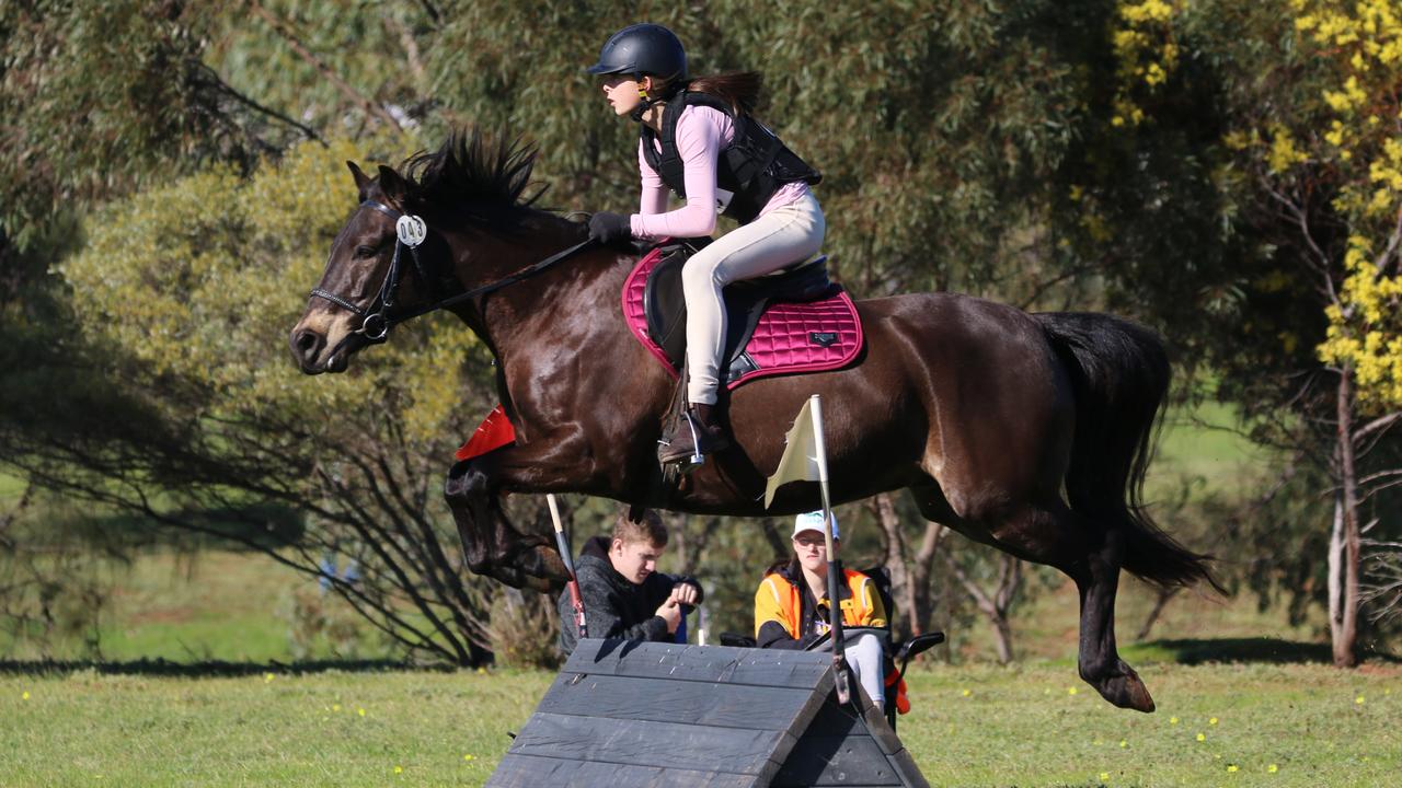 South Australian Equestrian Interschool Team 2022 | The Advertiser