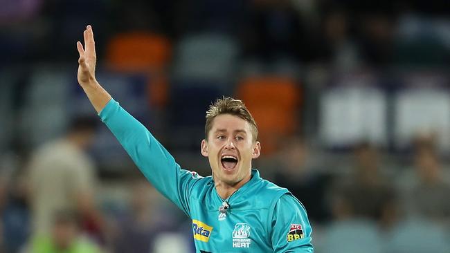 CANBERRA, AUSTRALIA - JANUARY 31: Marnus Labuschagne of the Heat appeals during the Big Bash League match between the Sydney Thunder and the Brisbane Heat at Manuka Oval, on January 31, 2021, in Canberra, Australia. (Photo by Mark Kolbe/Getty Images)