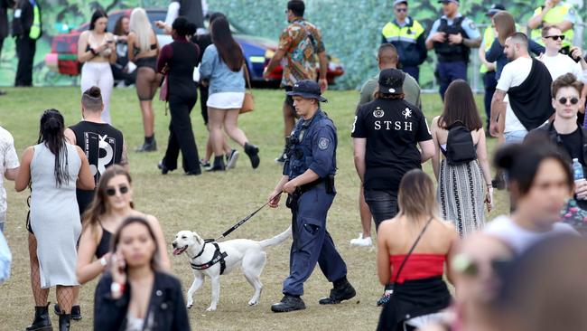 The NSW coroner is also set to recommend the scrapping of sniffer dogs at festivals. Picture: Damian Shaw/News Corp