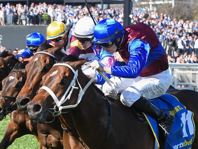 Caulfield Guineas winner Private Life is one of 13 nominations for Saturday's Gorup 1 C.F Orr Stakes at Caulfield. Picture: Racing Photos via Getty Images.