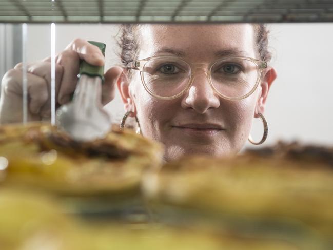 Goodbye Mrs G: Reason behind pie maker’s shock decision to sell