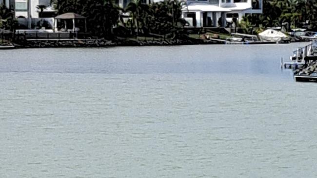 Footage taken from a residents backyard shows the dark trail in the water.