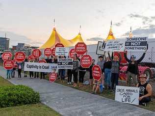 Animal Liberation Qld protesters at Hudsons Circus at Springfield on Friday. Picture: Contributed